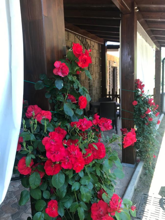 Agriturismo A Casa Di Susanna Santo Stefano del Sole Dış mekan fotoğraf