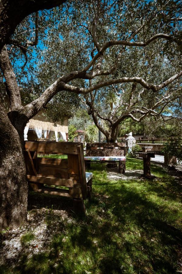 Agriturismo A Casa Di Susanna Santo Stefano del Sole Dış mekan fotoğraf