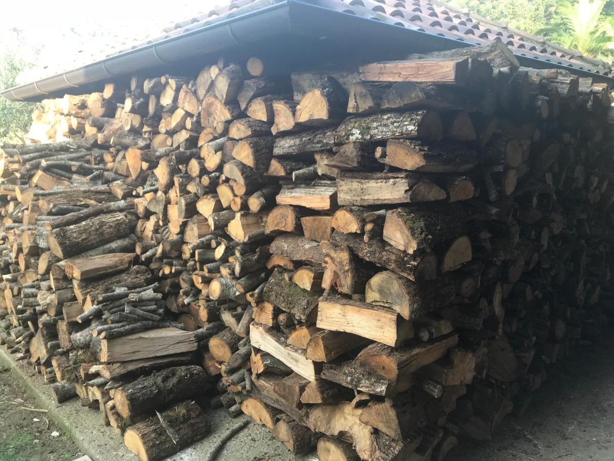 Agriturismo A Casa Di Susanna Santo Stefano del Sole Dış mekan fotoğraf