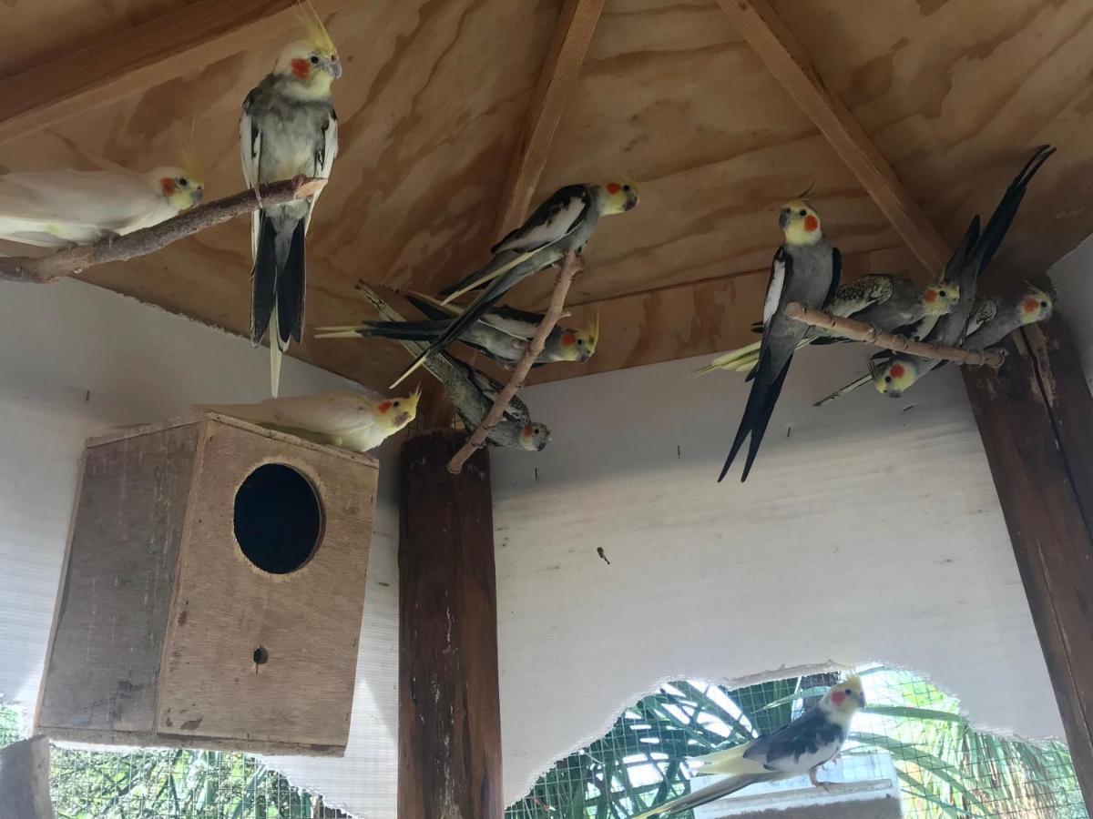 Agriturismo A Casa Di Susanna Santo Stefano del Sole Dış mekan fotoğraf