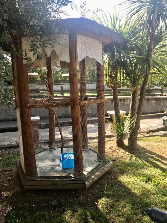 Agriturismo A Casa Di Susanna Santo Stefano del Sole Dış mekan fotoğraf