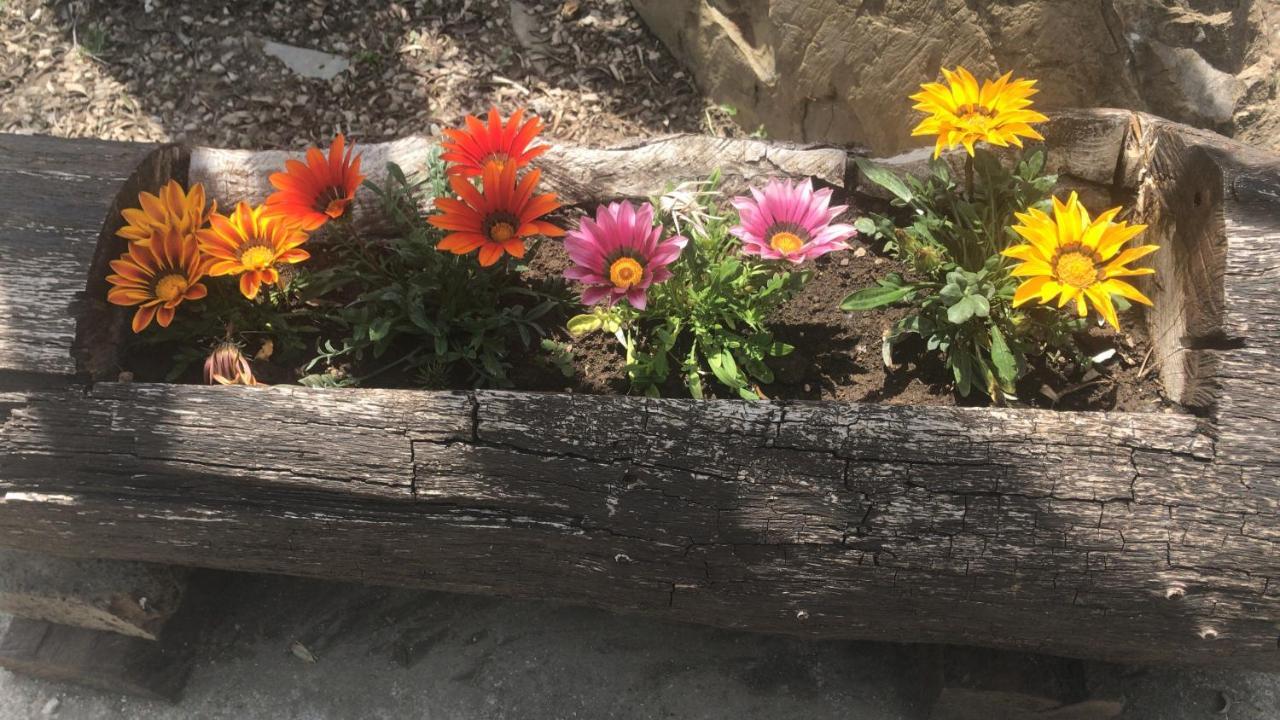Agriturismo A Casa Di Susanna Santo Stefano del Sole Dış mekan fotoğraf