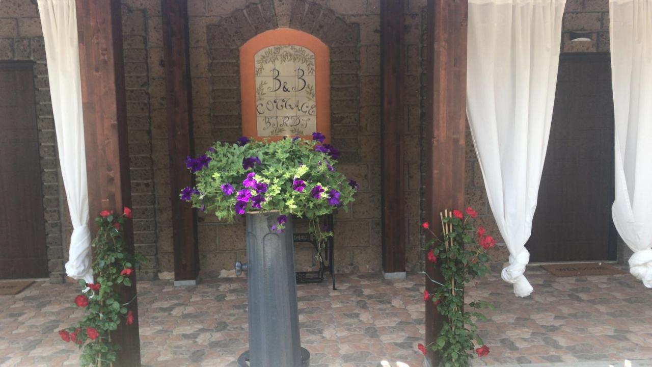 Agriturismo A Casa Di Susanna Santo Stefano del Sole Dış mekan fotoğraf