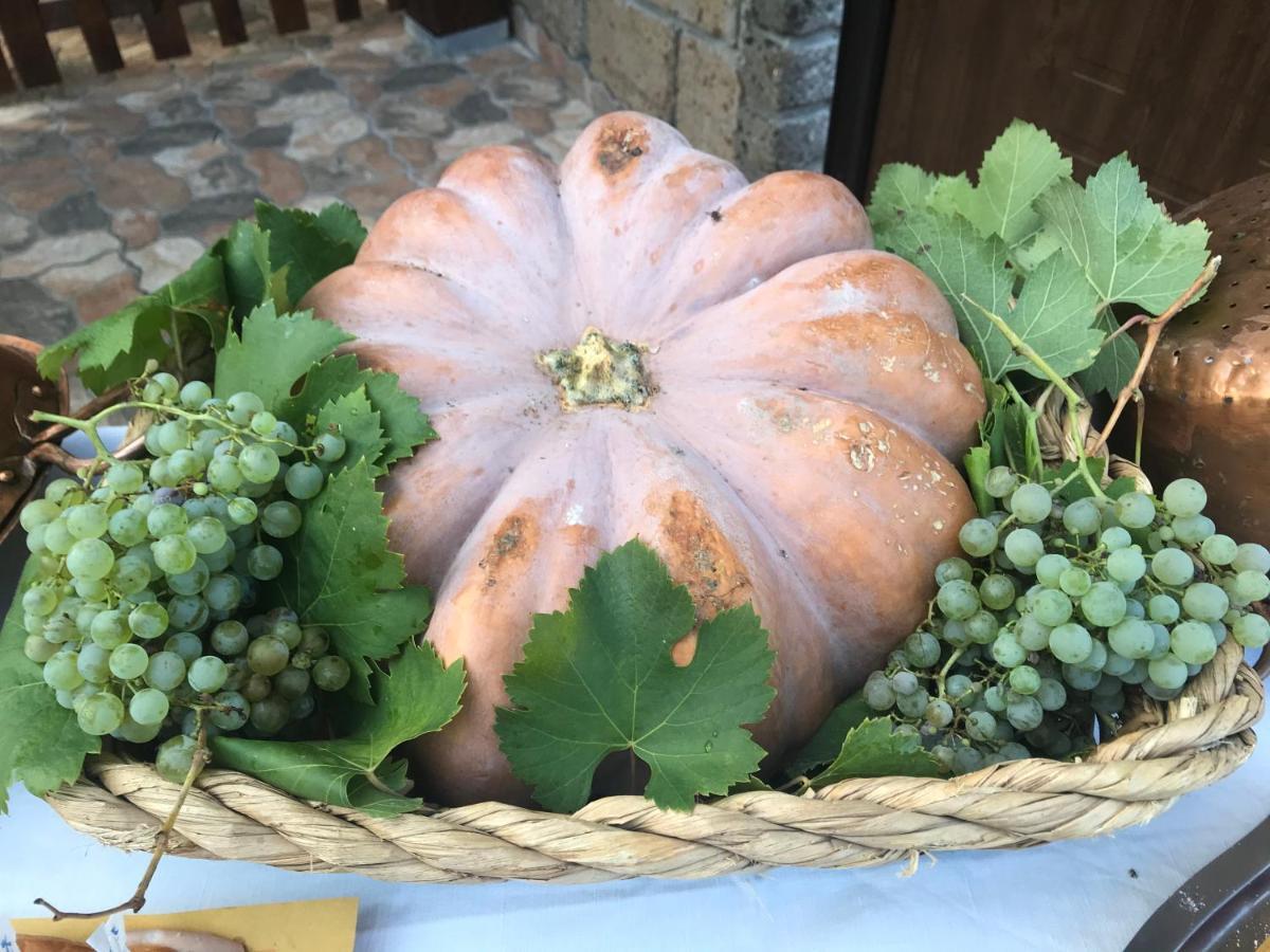 Agriturismo A Casa Di Susanna Santo Stefano del Sole Dış mekan fotoğraf